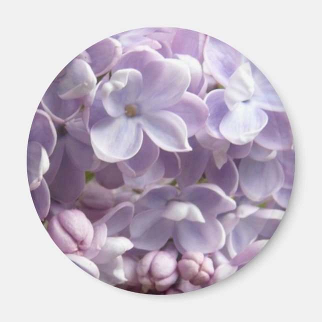 Imã Lilac Blossoms Magnet (Frente)