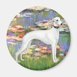 Imã Lilies 2 - White Whippet (11b)