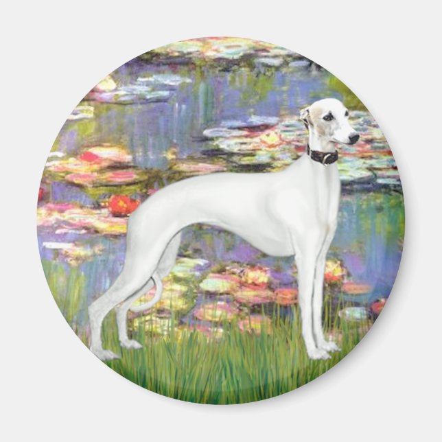 Imã Lilies 2 - White Whippet (11b) (Frente)