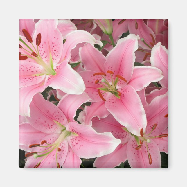 Imã Lillies Magnet Rosa (Frente)