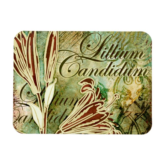 Ímã Lillium Candidum (Horizontal)