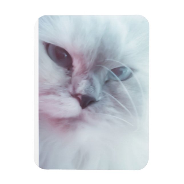 Ímã Lilly (Vertical)