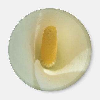 Imã Lilly Center Magnet