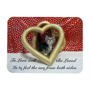 Ímã Lilo'The Cat's Loving Hearts Magnet