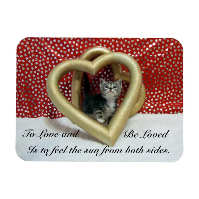 Ímã Lilo'The Cat's Loving Hearts Magnet (Horizontal)