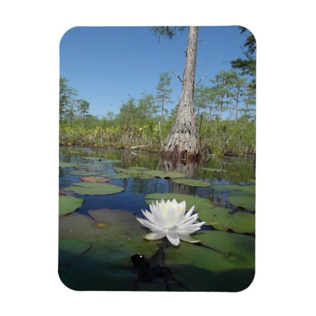 Ímã Lily 2 (Vertical)
