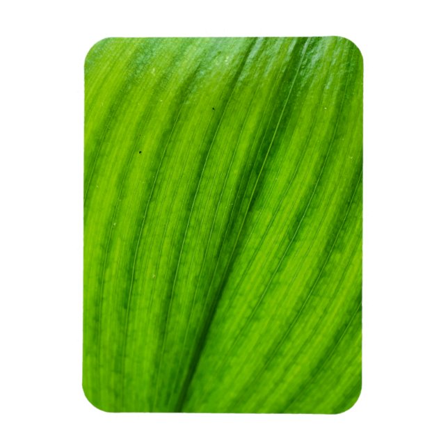 Ímã Lily do Vale (Vertical)