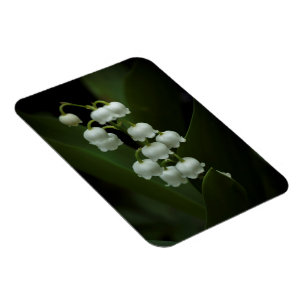 Ímã Lily do Vale-0308