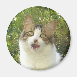 Imã Lily Magnet 001