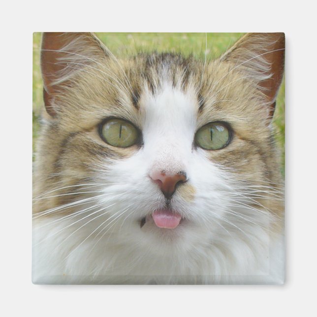 Imã Lily Magnet 004 (Frente)