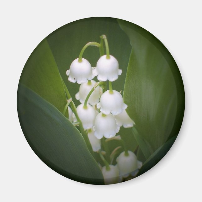 Imã Lily-Of-The_Valley (Frente)