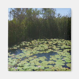 Imã Lily Outback Pads Magnet