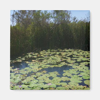 Imã Lily Outback Pads Magnet