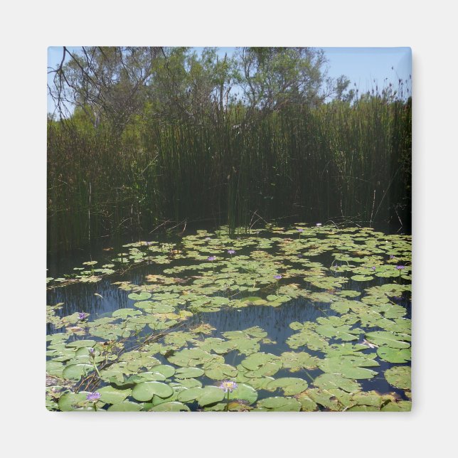 Imã Lily Outback Pads Magnet (Frente)