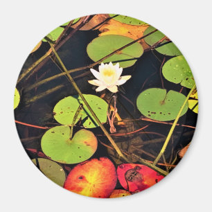 Imã "Lily Pad Pond Eetéreo com Flor Branco Central