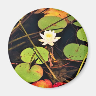Imã "Lily Pad Pond Eetéreo com Flor Branco Central