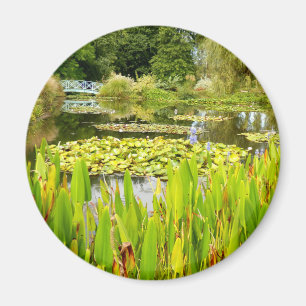 Imã Lily Pond Magnet