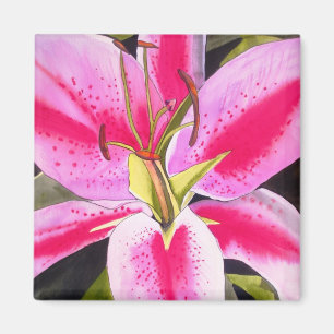 Imã Lily rosa-clara Lily Tenerife, magro para flores