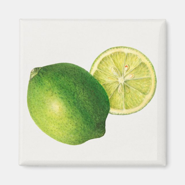 Imã limão (Frente)