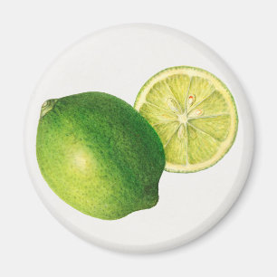 Imã limão