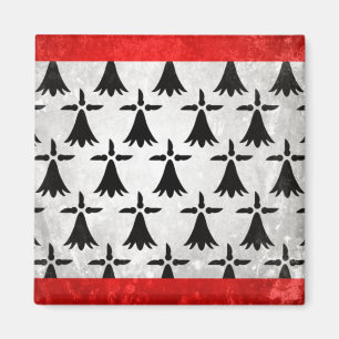 Imã Limousin