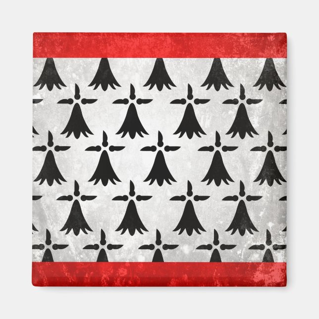 Imã Limousin (Frente)