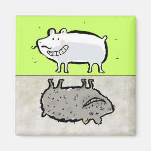 Imã limpe/animal sujo (a máquina de lavar louça)