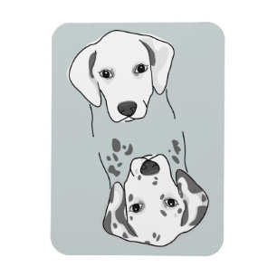 Ímã Limpe/ímã sujo da máquina de lavar louça