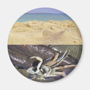 Imã Limpo ou sujo? GDI!