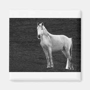 Imã LIN10BW O Stance.tif