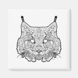 Imã Lince