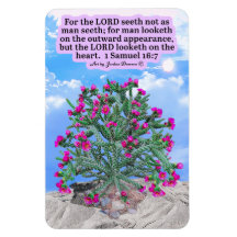 Linda Escritura de Cholla Cactus 1 Samuel 16:7