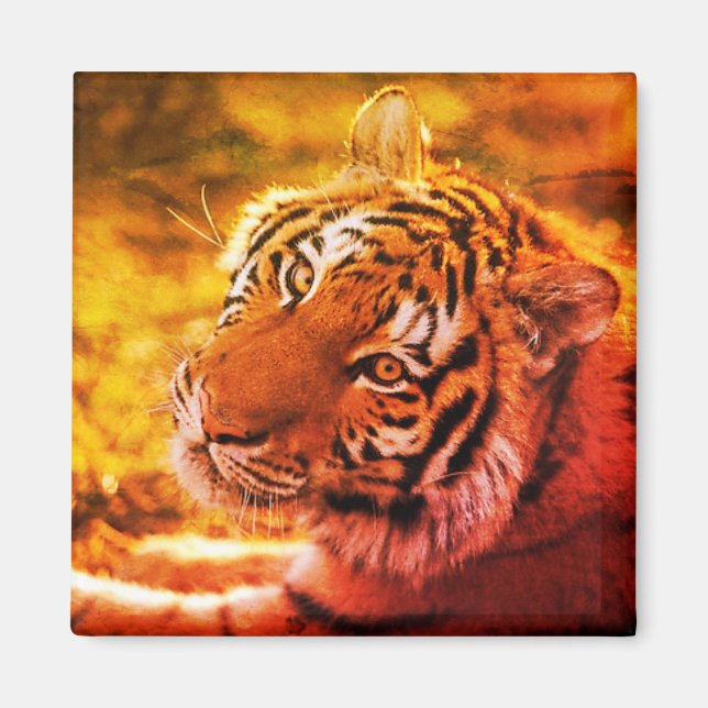 Imã Linda Expressão de Tigre Temporária. (Frente)