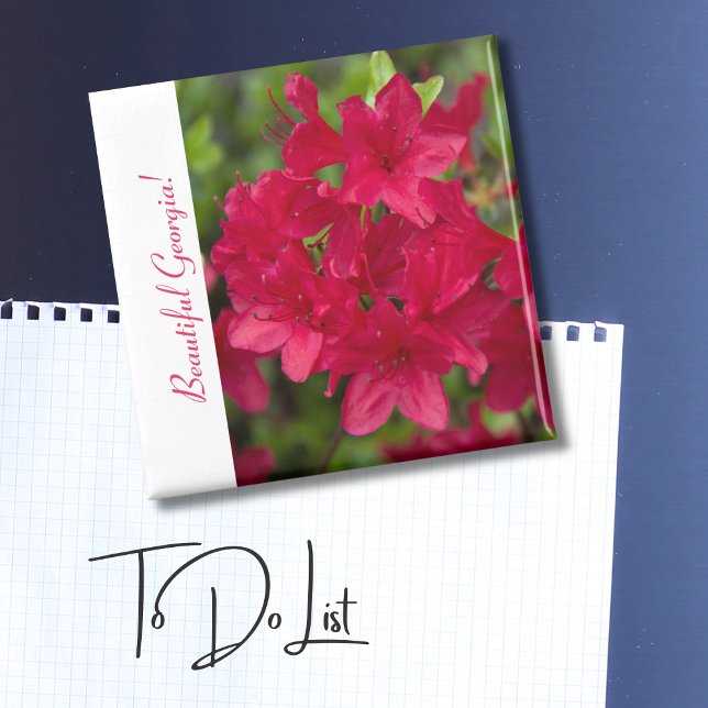 Imã Linda Flor de Estado Georgia~ Azalea (Criador carregado)