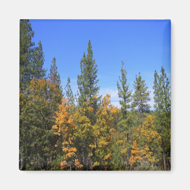 Imã Linda Hayfork, Califórnia... (Frente)