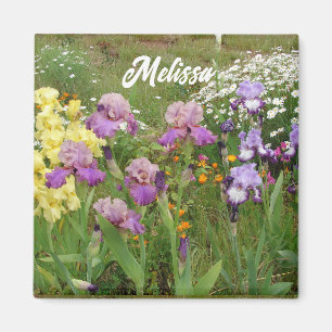 Imã Linda Íris Roxa Irises flor floral Jardim