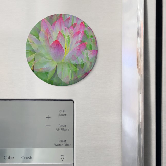 Imã Linda Lotus....... (In Situ (Fridge))