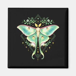 Imã Linda Mariposa Luna Maravilhosa Borboleta Amante d