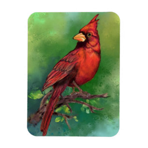 Ímã Linda pintura de pássaro vermelho Norte