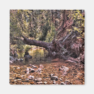 Imã Linda Primavera manhã....