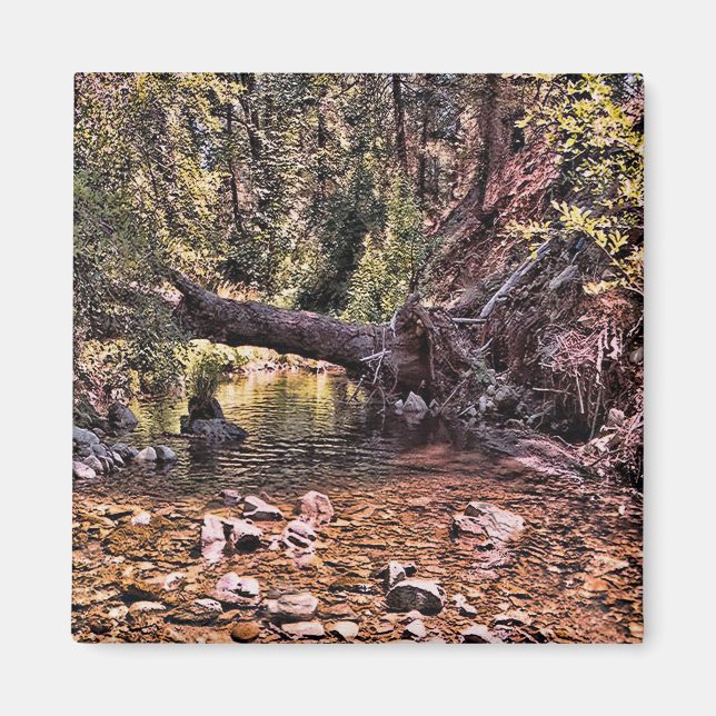 Imã Linda Primavera manhã.... (Frente)