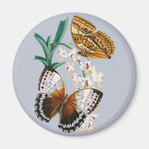 Imã Linda Vintage Floral Butterfly Ilustração