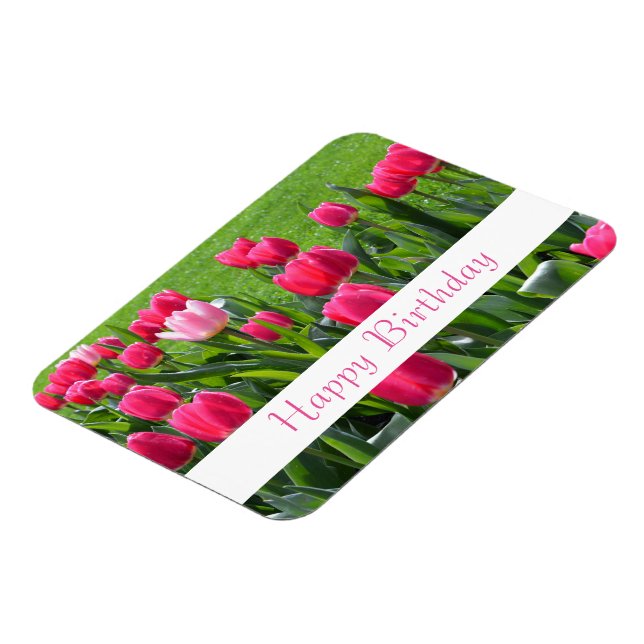 Ímã lindíssimas flores de tulipa cor-de-rosa primavera (Left Side)