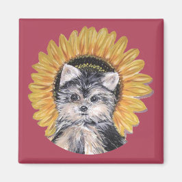 Imã Lindo cão Yorkshire Terrier
