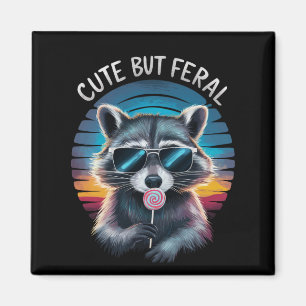 Imã Lindo Mas Feroz Guaxinim Engraçado
