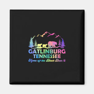 Imã Lindo Urso Gatlinburg Tennessee Great Smoky Mounta
