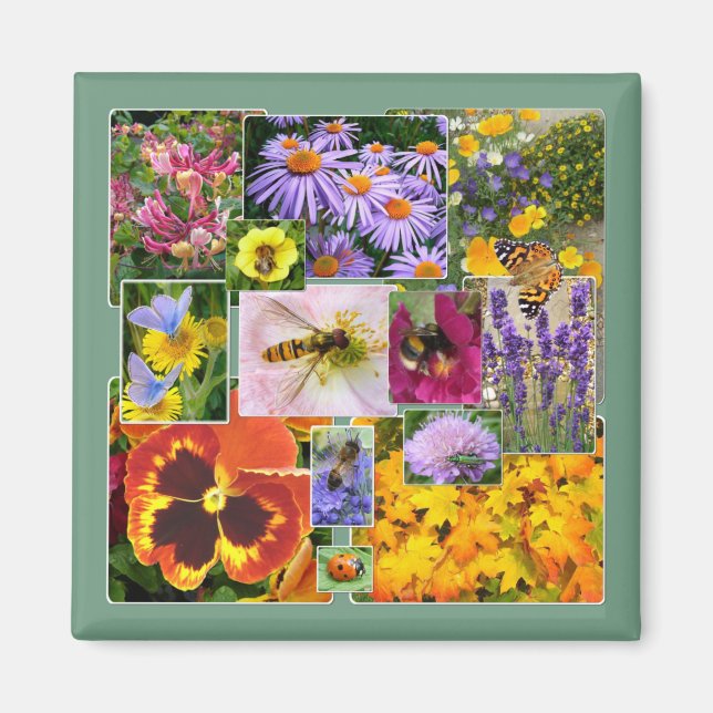 Imã Lindos Flores de Verão e Colagem de Insetos (Frente)