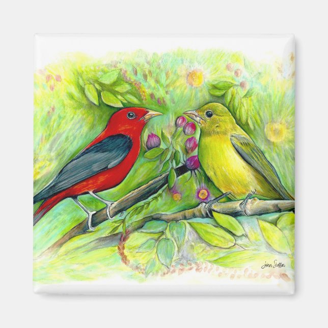 Imã Lindos Scarlet Tanagers Watercolor Painting (Frente)