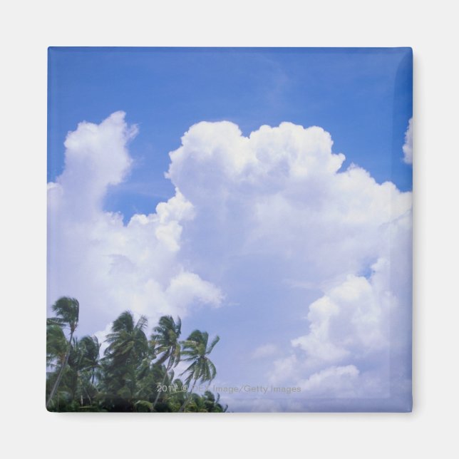 Imã Linha costeira tropical (Frente)