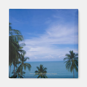 Imã Linha costeira vibrante